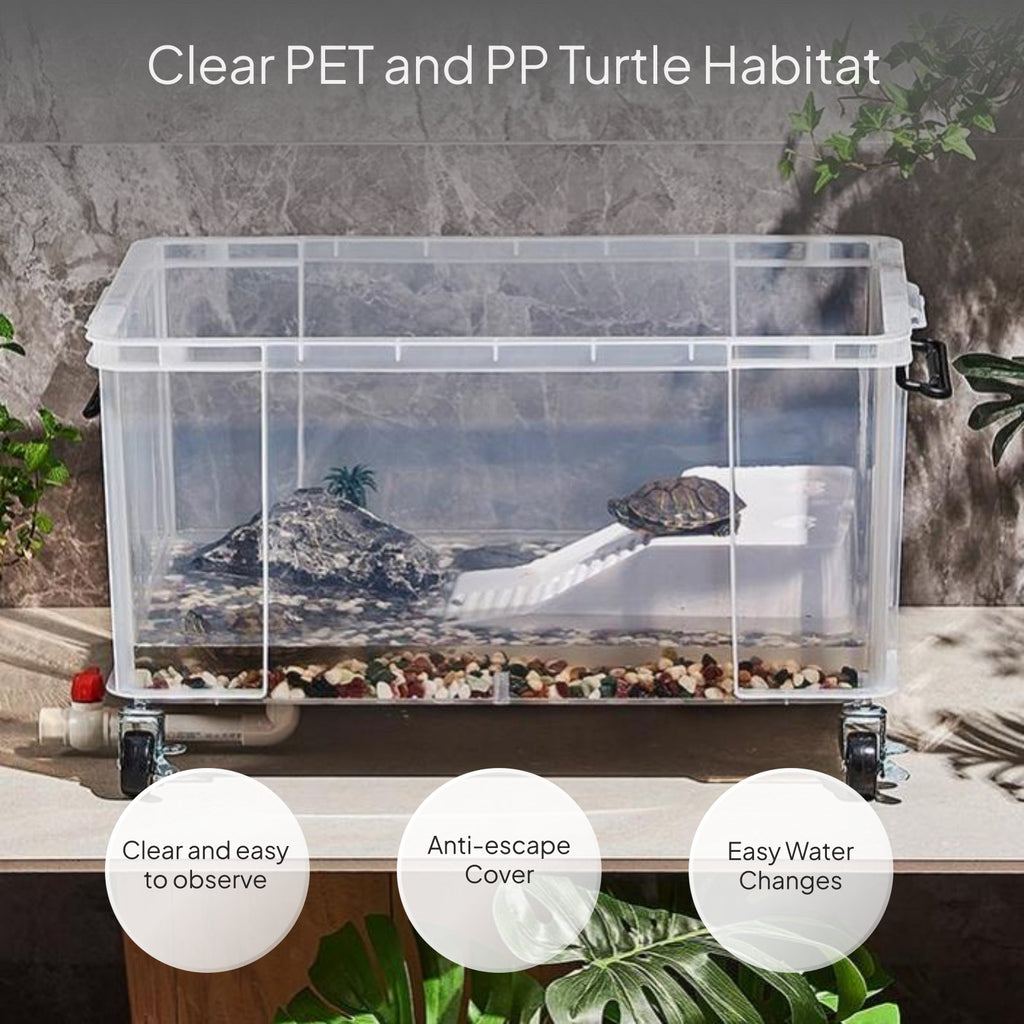 Transparent Turtle Tank with Lid and Drainage