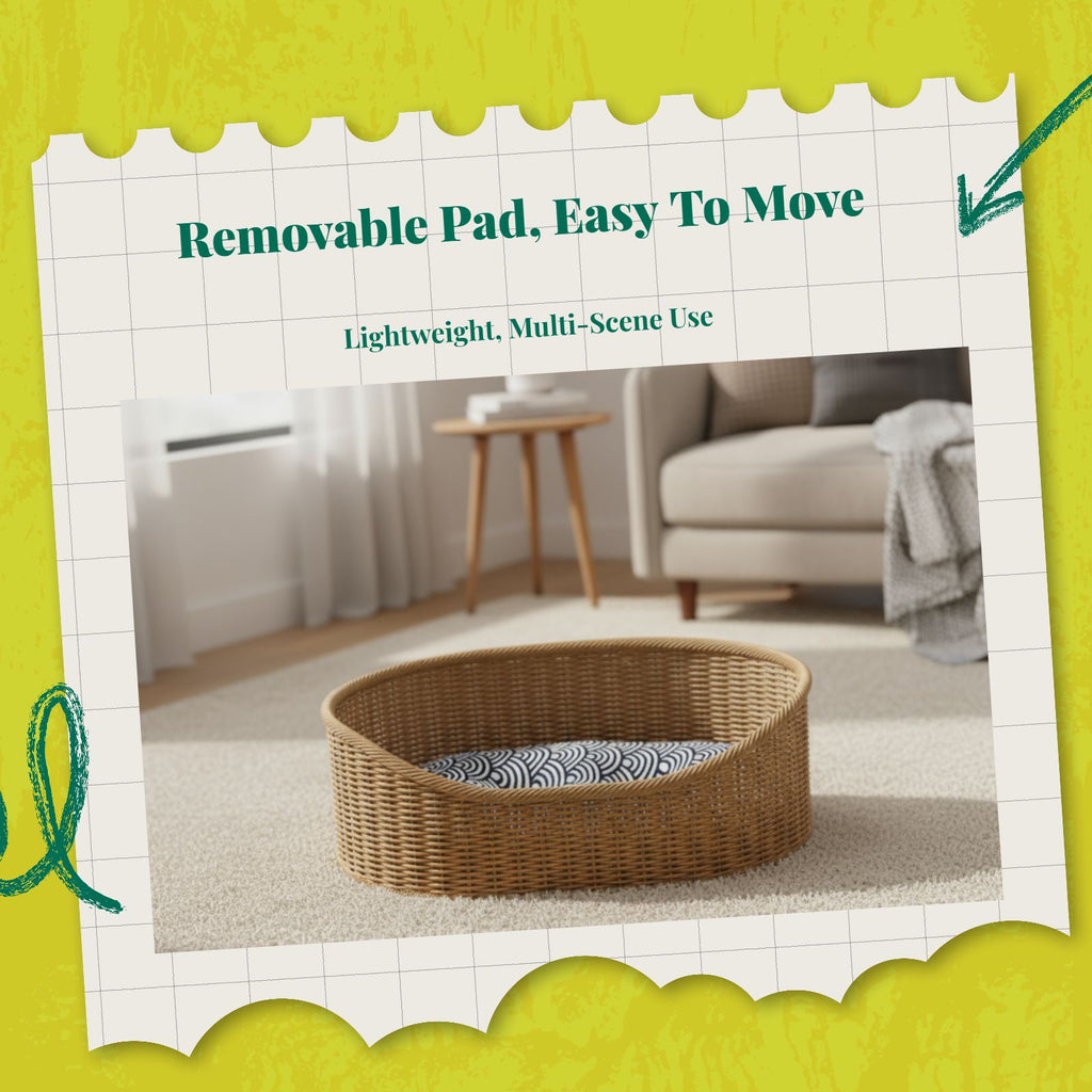 Woven cat bed with removable cushion