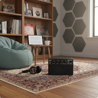 10W Bluetooth Guitar Amp 4 Hour Battery Life for Outdoor, Beginners, Guitarists