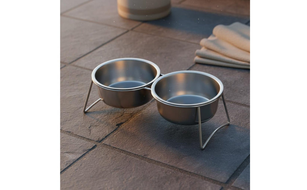 Double Stainless Steel Pet Bowls Easy to Clean Tilted Cat Food and Water Station