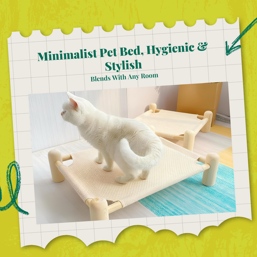 Elevated Dog Bed, Breathable Mesh, Non-Slip, Indoor/Outdoor