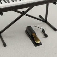 Digital Piano Sustain Pedal Polarity Switch Sustain Pedal for Studio Recording