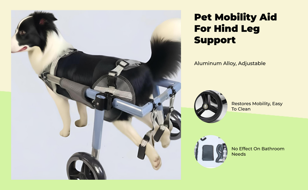 Adjustable hind leg dog cart, sturdy