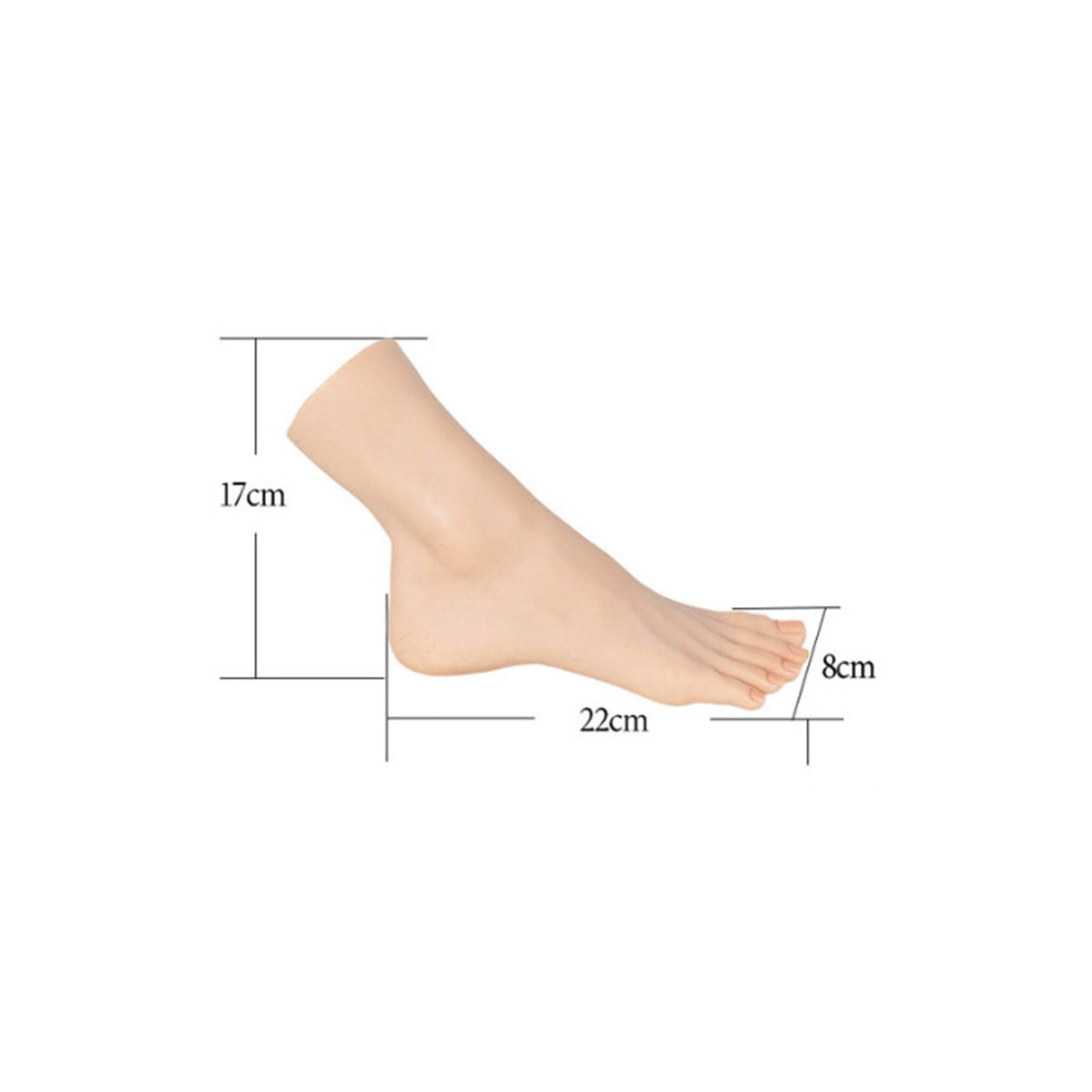 Realistic Female Foot Lifelike Texture Acupuncture Training Model Separated Toes