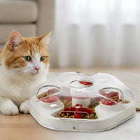 Interactive Cat Puzzle feeder Toy Mental Cat mazes Toy Anti-Suffocation Pet Accessory for Indoor