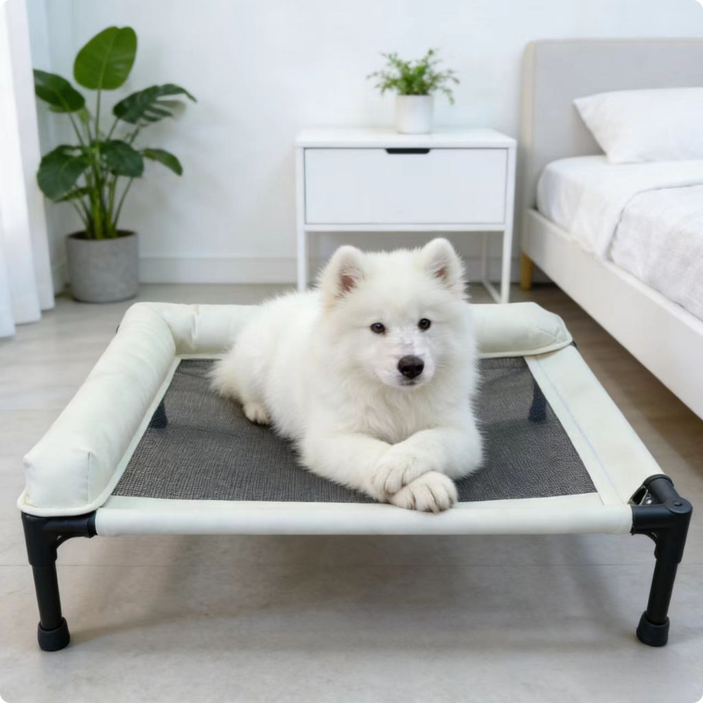 Raised Pet Bed Iron Frame Mesh Pet Bed Skid-Resistant Feet