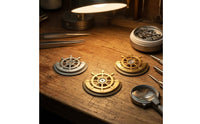 Ship-Wheel Rotor Customized exposedSpoke Rotor Stainless Steel