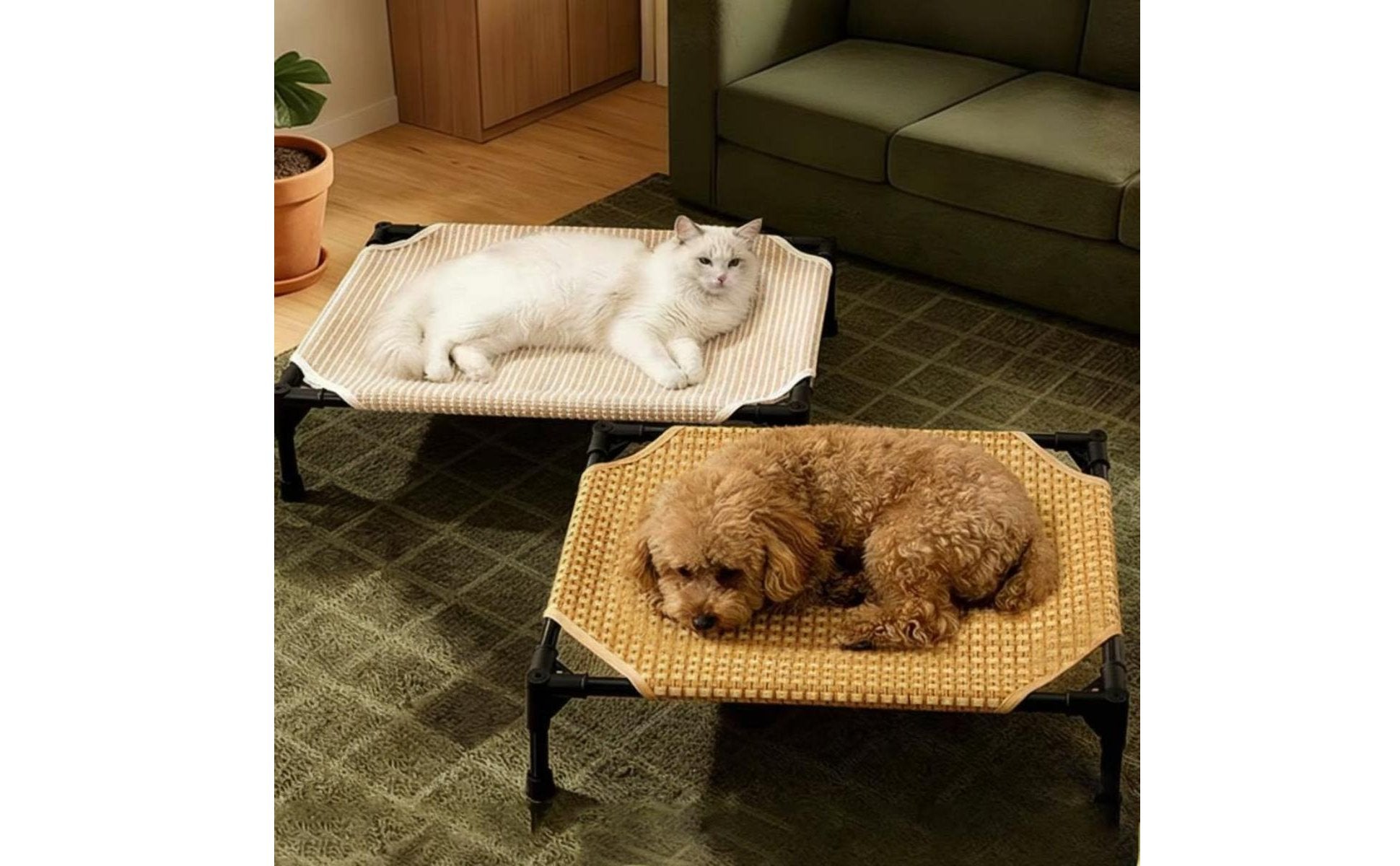 Elevated Dog Bed Detachable Washable Raised Dog Bed Breathable for Year-Round
