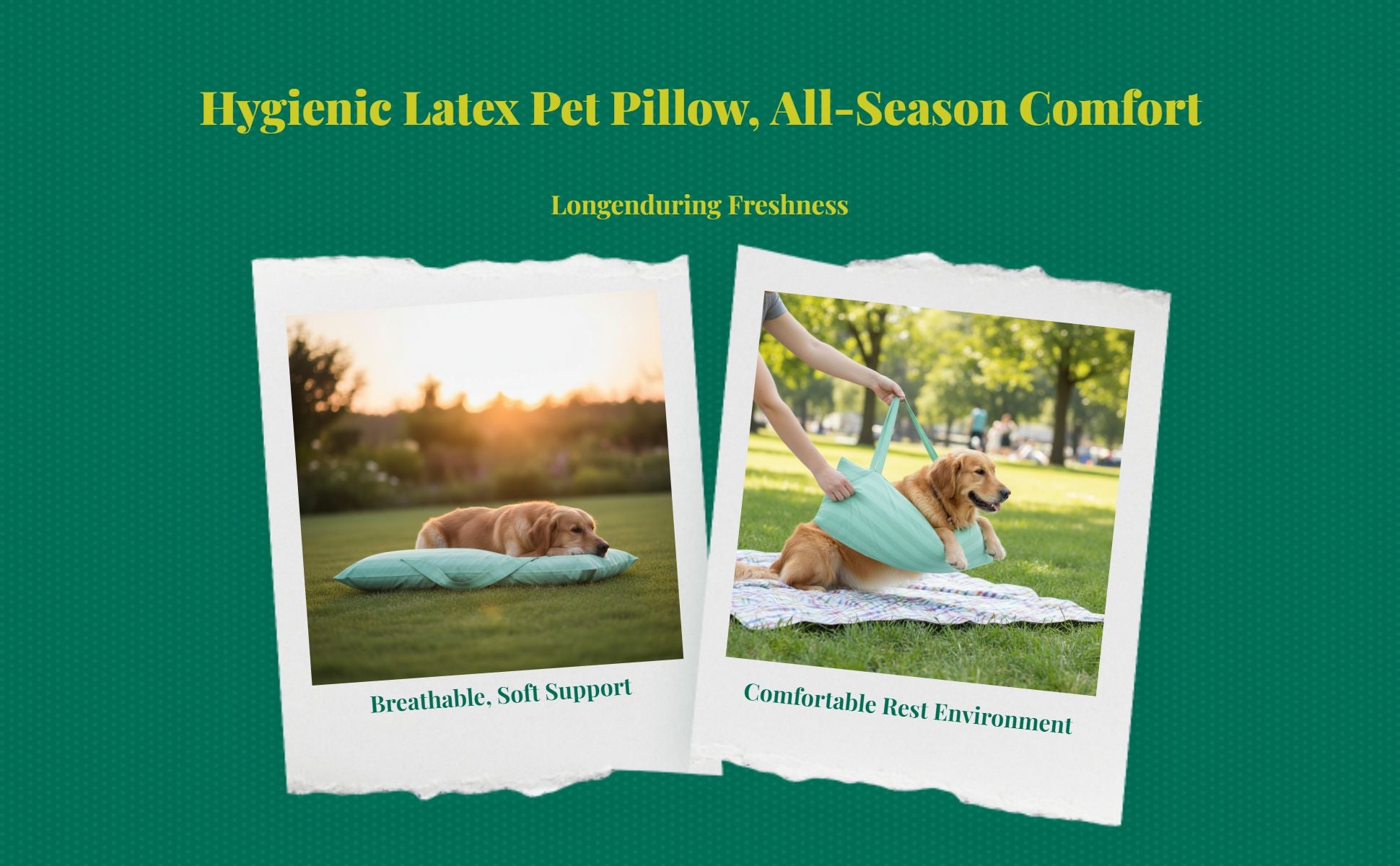 Waterproof Calming Dog Neck Pillow, Removable, Easy Clean