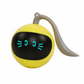 Electric Cat Toy Ball, Rechargeable, Automatic, Light-Up, Interactive Play