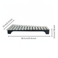 15 Note Glockenspiel Early Music Education Kids Musical Instrument Includes Carrying Case Rainbow Color Xylophone for Beginners, Classroom