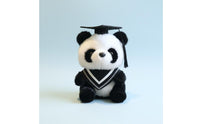 2 Pieces Graduation Panda Stuffed Animal Wearing Cap and Gown for Graduates