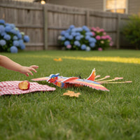 Electric Firebird Glider Circling Flight Foam Model Airplane Kit for Outdoor