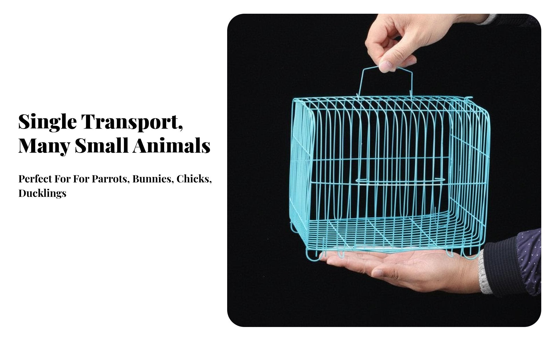 50 Pieces Hand-Held Chick enclosure Portable livingstock Crate Stackable for Farm, &fairplace