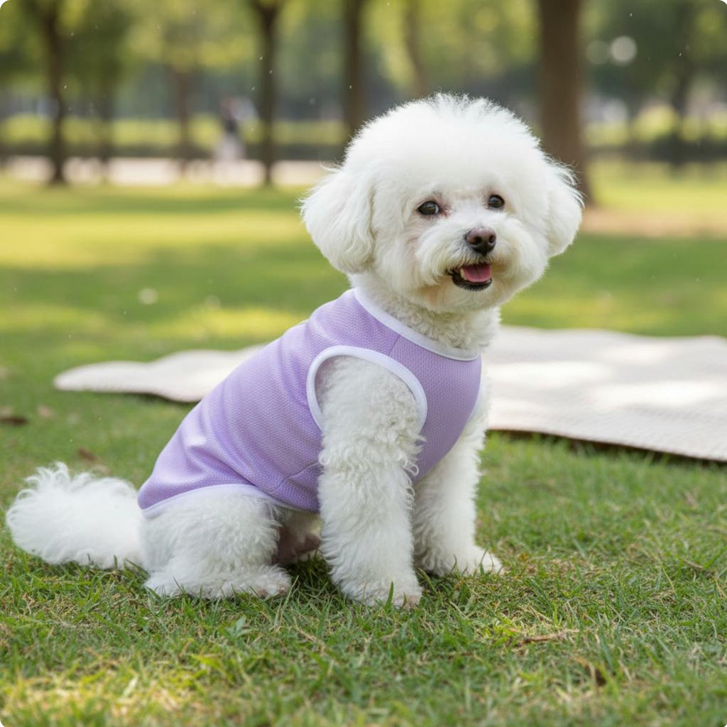 Lightweight Warm-Weather Pet Shirt Quick-fast dry Small Dog Sun Protection Shirt Pullover Design Breathable Dog Tank Top for Outdoors