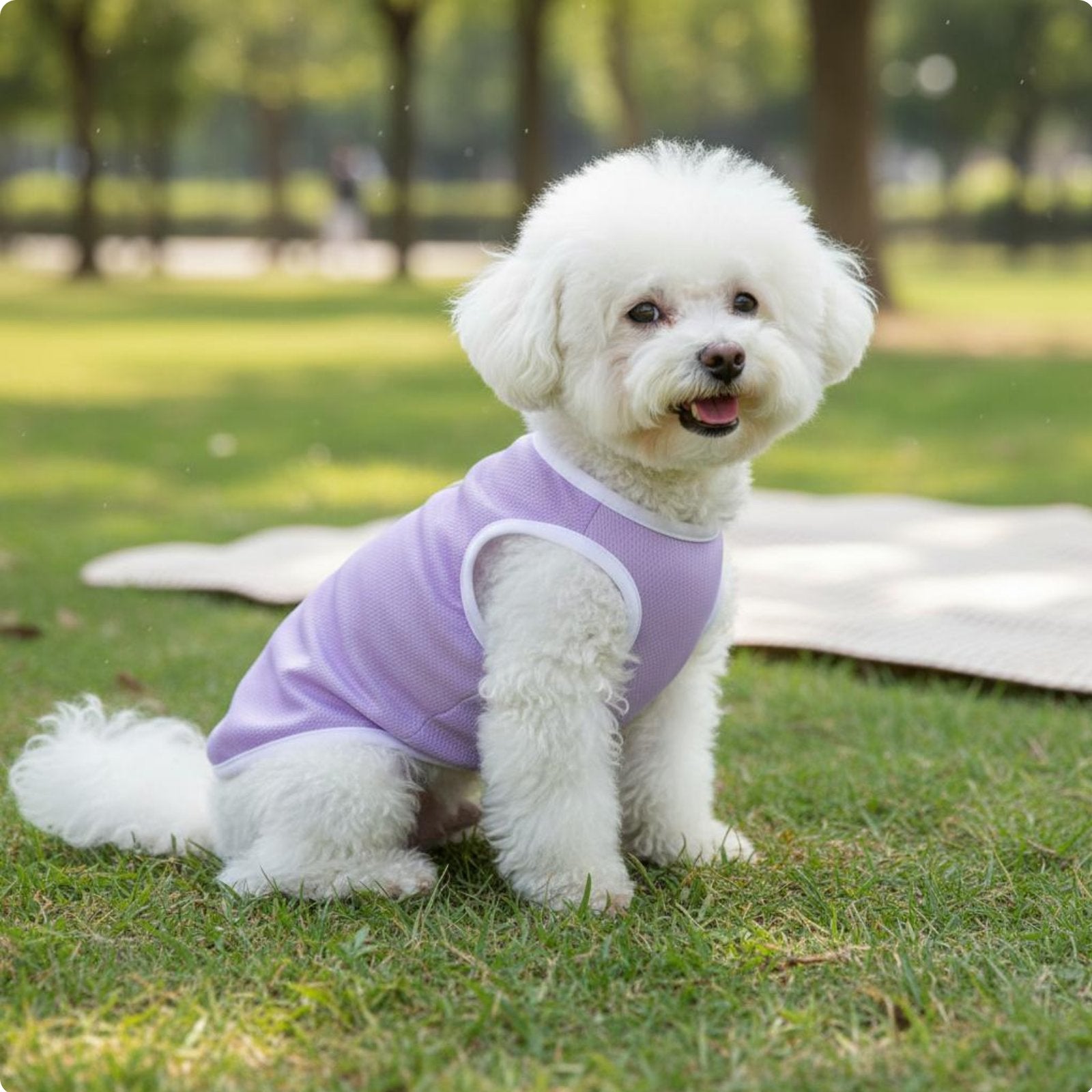 Lightweight Warm-Weather Pet Shirt Quick-fast dry Small Dog Sun Protection Shirt Pullover Design Breathable Dog Tank Top for Outdoors