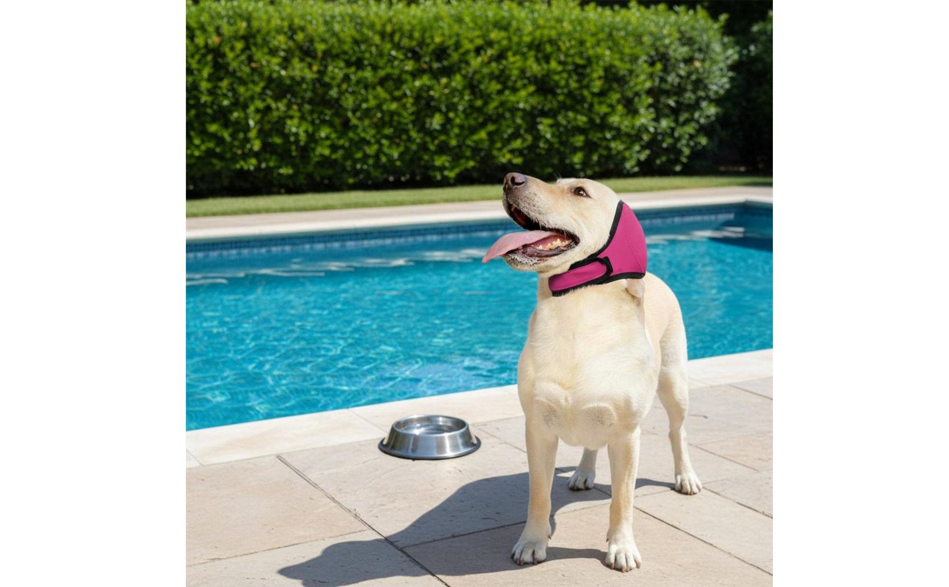 Waterproof Dog Ear Cover Summer Use Pet Accessory Soft Material
