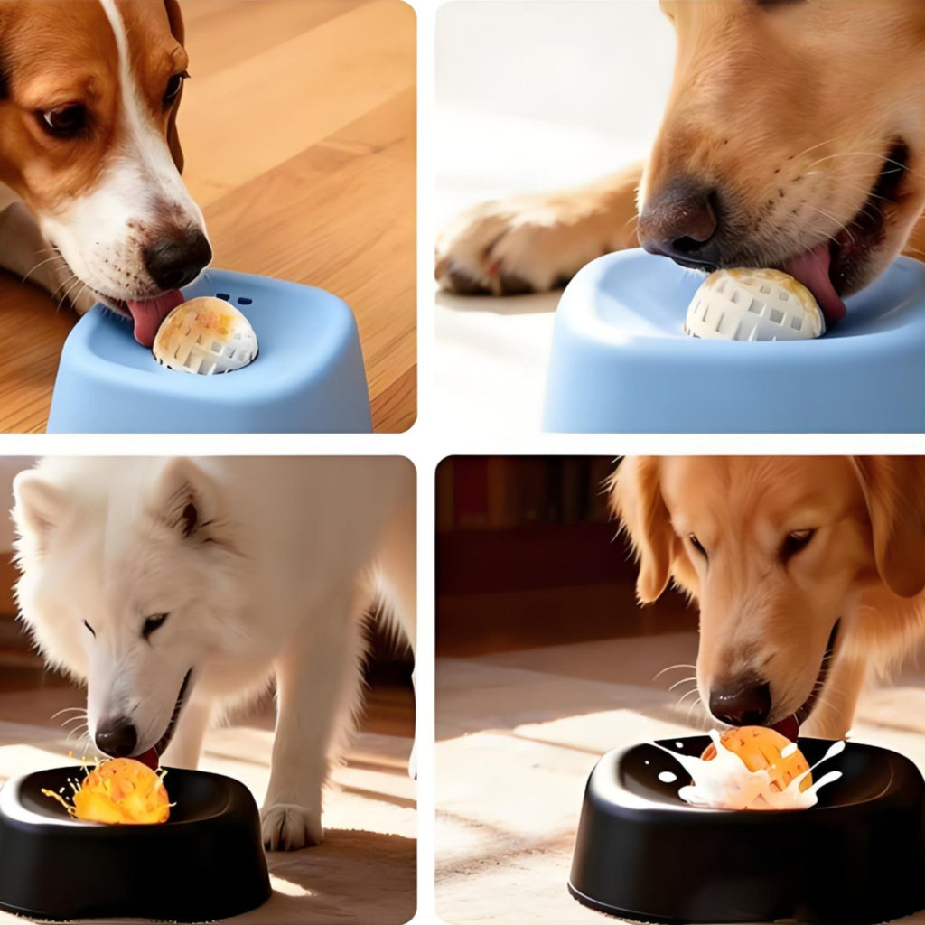 Pet Enrichment Bowl Stress Relief Dog Slow Feeder Bowl Easy to Clean