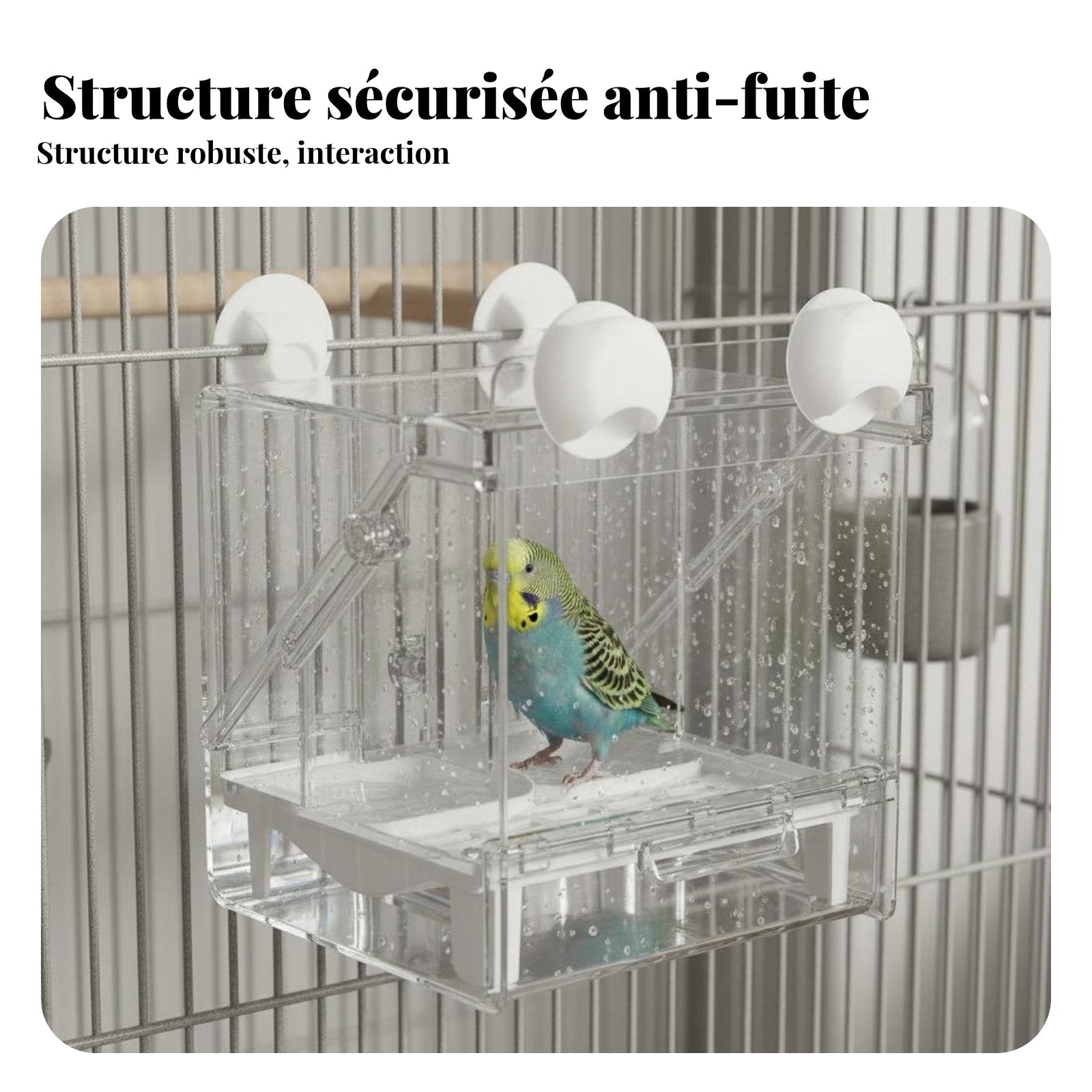 Multi-Functional Bird Feeder Bath Anti-Splash Parrot Shower Box Multipurpose Use