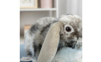 Lop Eared Rabbit Stuffed Animal Gift Idea Stuffed Rabbit Toy Realistic Design
