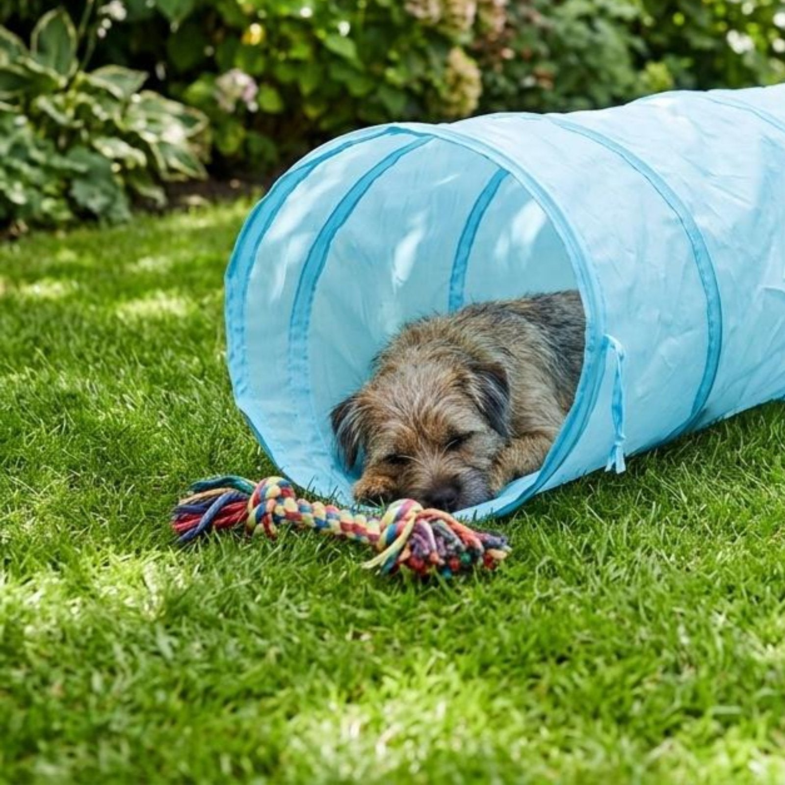 Foldable Feline Tunnel Portable Feline Tunnel Tent Quick Setup for Outdoor