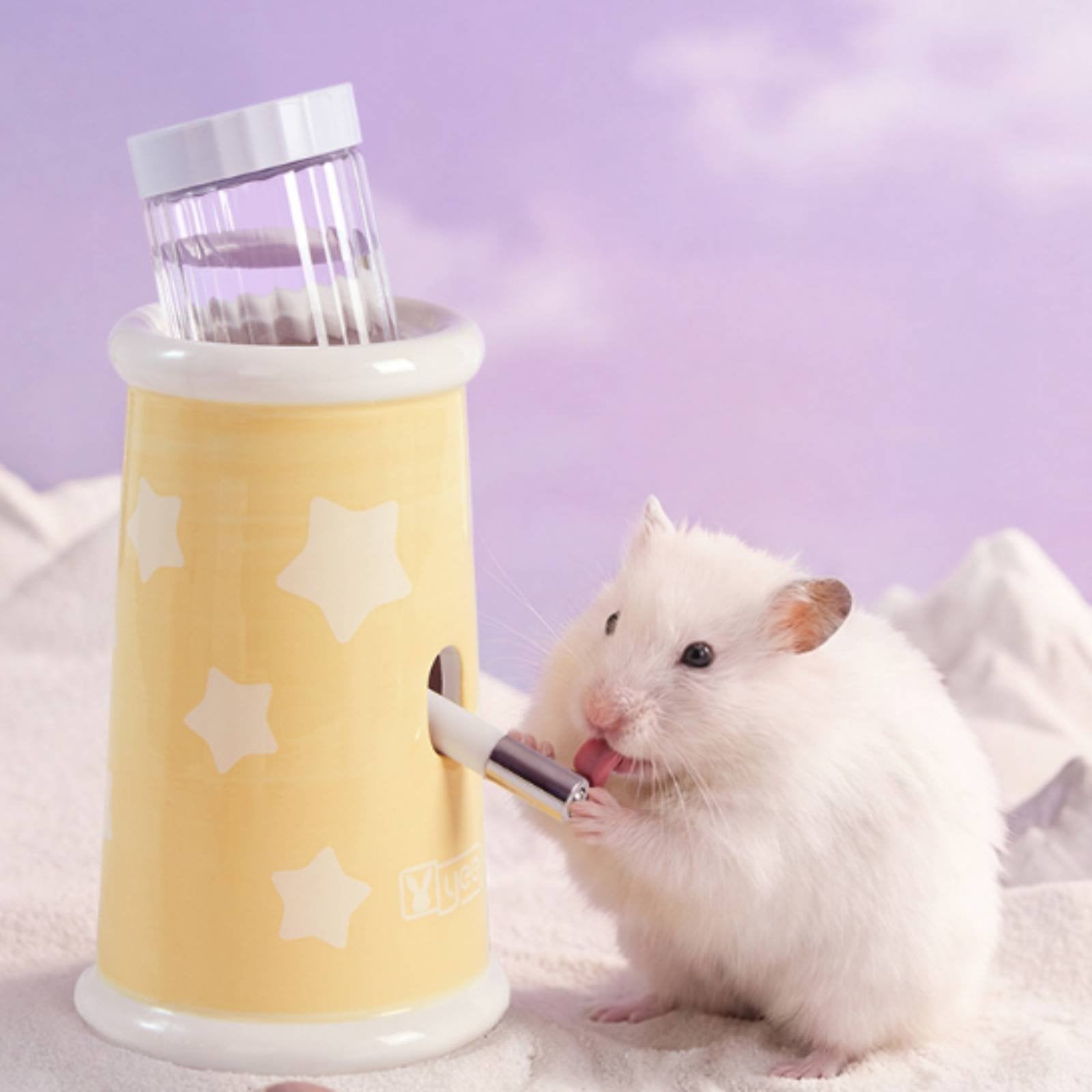 3 Pieces Star Shaped Hamster House Easy to Clean Small Pet Cooling Hideaway