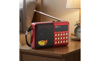 Portable Digital Radio Telescopic Antenna Electronic Device Carrying Strap