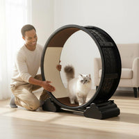 Cat Running Wheel Stable Base Cat Exercise Wheel Lock Pet Furniture for Indoor Cats