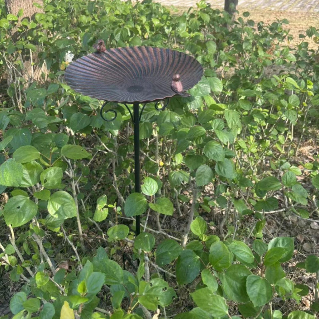 Freestanding Bird Bath Weatherproof Outdoor Decor Heavy Duty for Yard, Gardeners