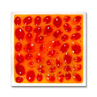 6 Pieces Liquid Sensory Mat Long-Lasting Textured Tile Colorful for Toddlers