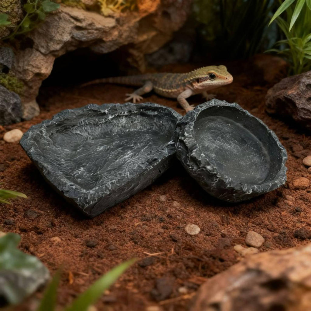 2 Pieces Rock Look Amphibian Bowl Multi Use Pet Supply Sleek Design
