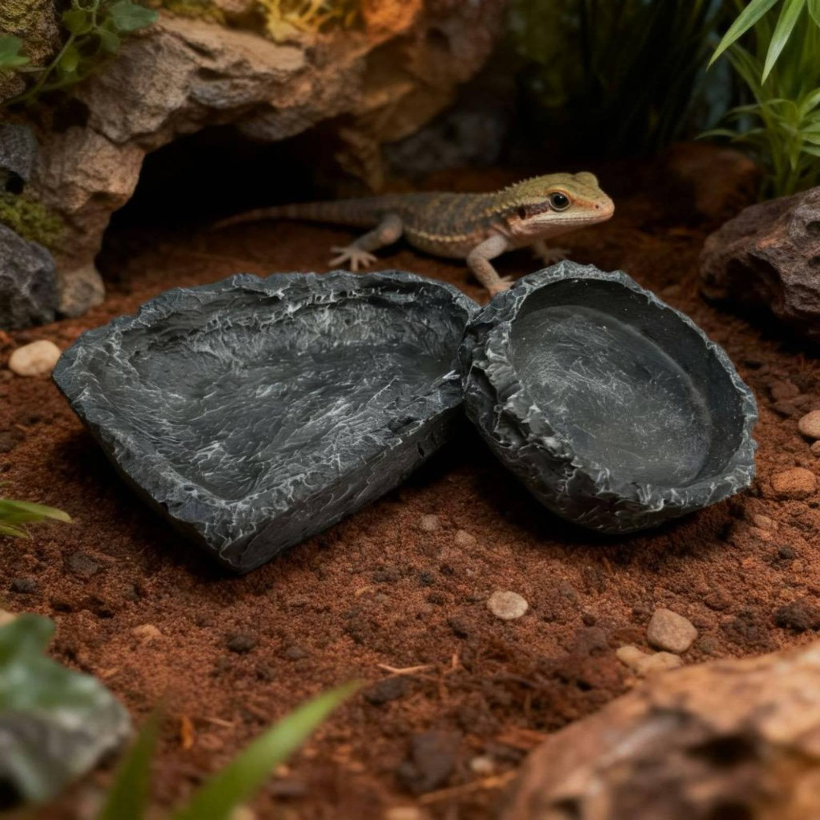 2 Pieces Rock Look Amphibian Bowl Multi Use Pet Supply Sleek Design