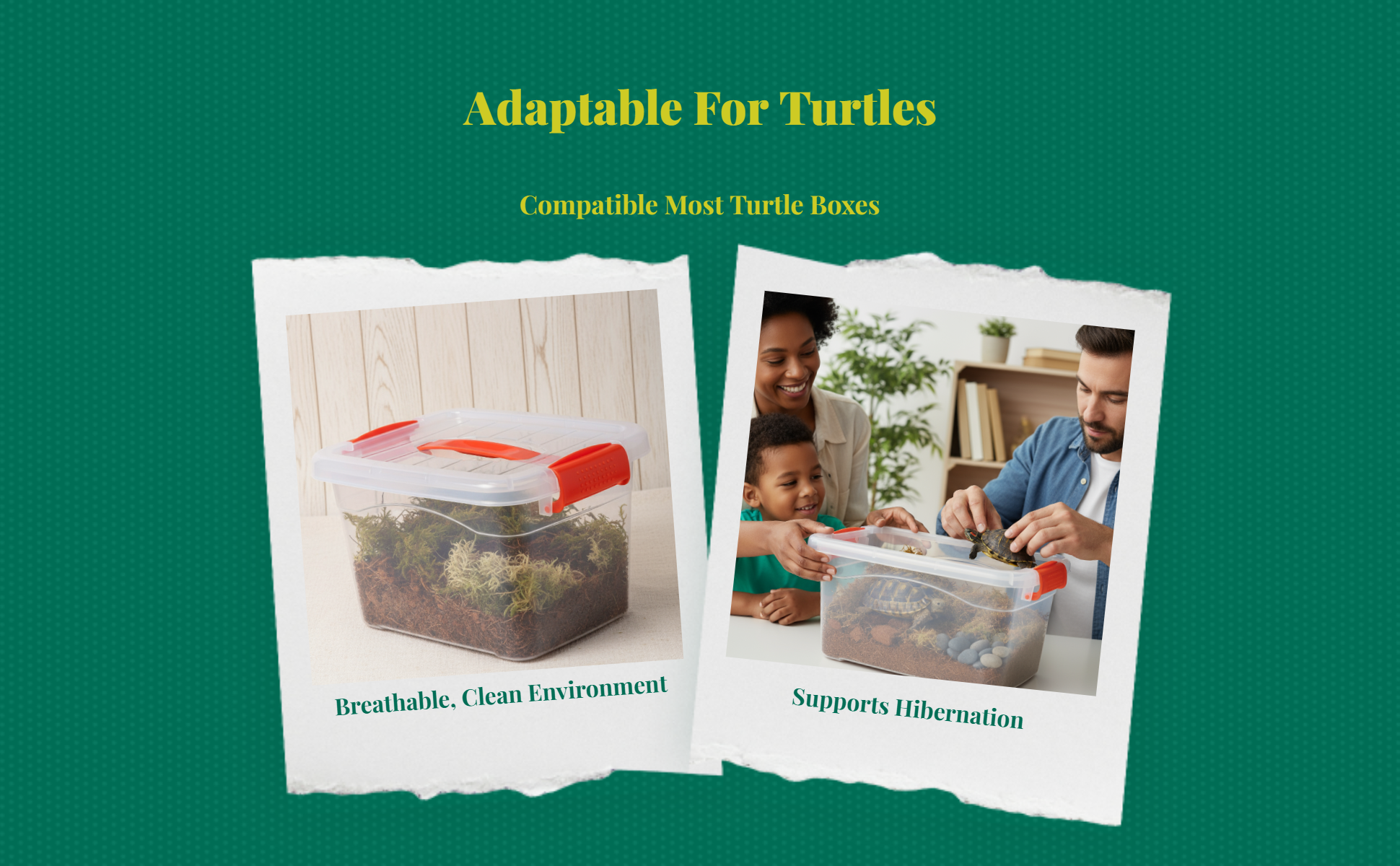 Turtle hibernation box with coconut coir