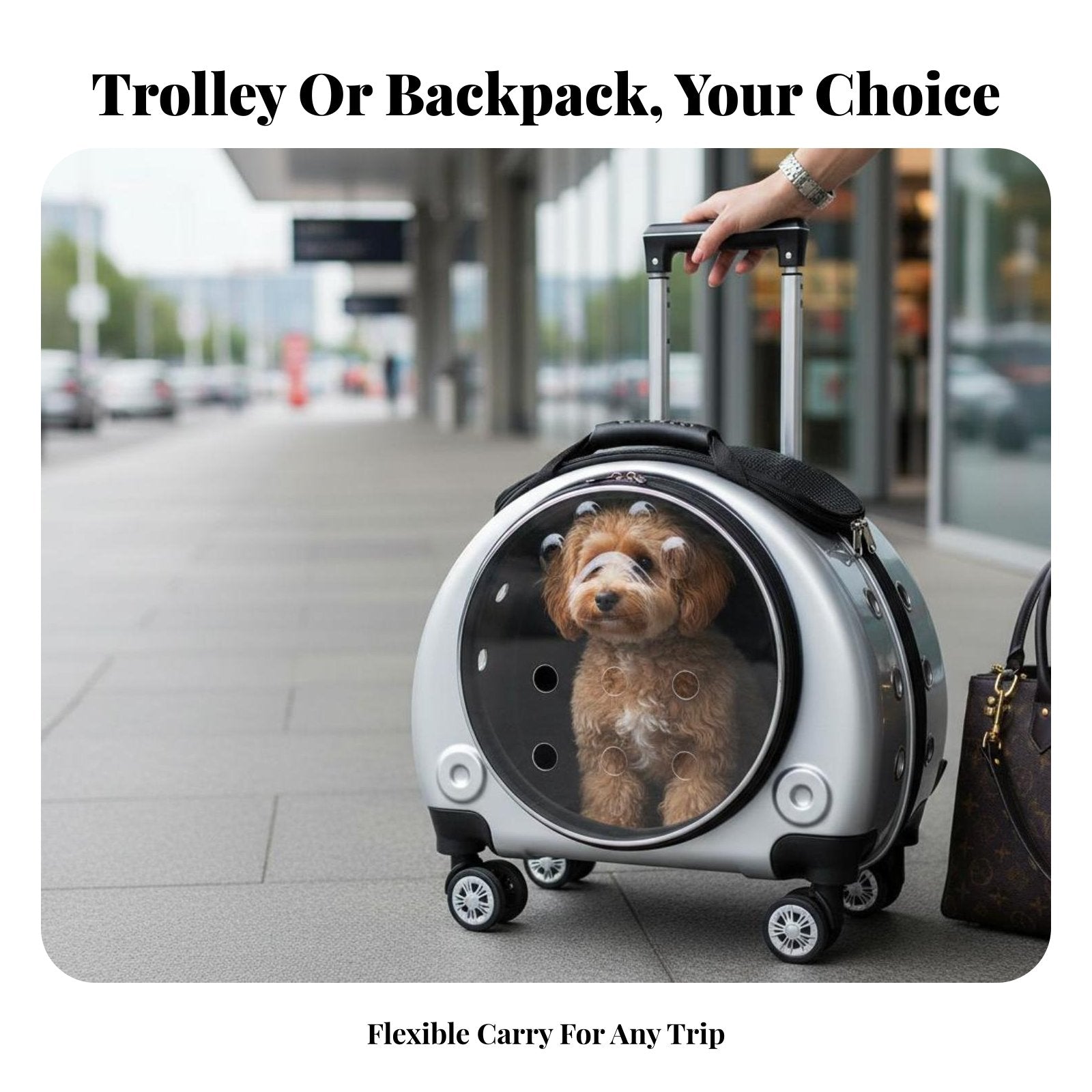 versatile dome opening Pet Trolley Breathable Cat Backpack Telescopic Handle