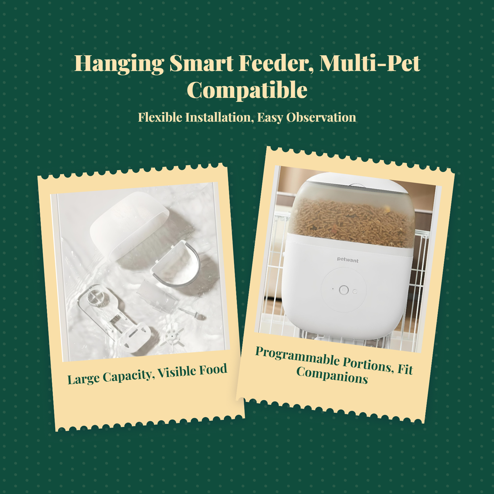 Automatic timed feeder for pets