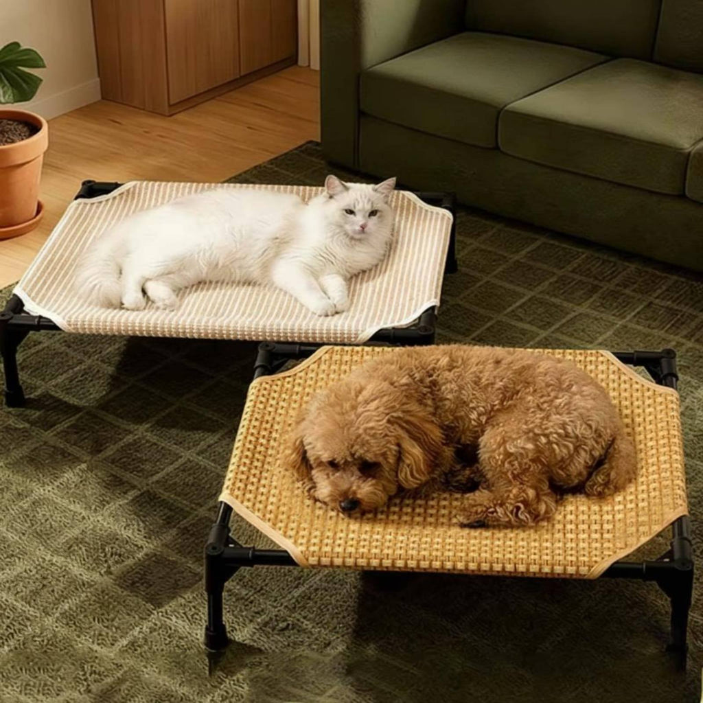 Elevated Dog Bed Detachable Washable Raised Dog Bed Breathable for Year-Round