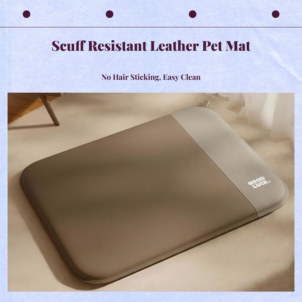 Waterproof orthopedic dog bed, easy clean