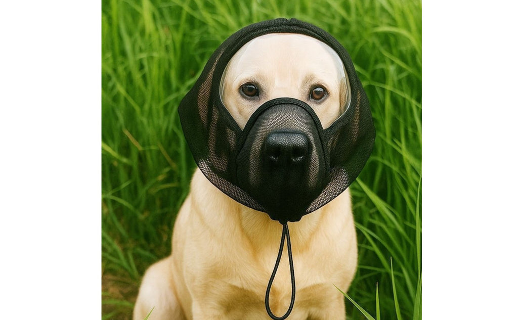 Anti-Licking Dog Head Cover Adjustable Drawstring Pet Supply for Outdoor Walks