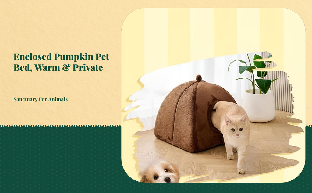 Pumpkin Cat Bed, Enclosed Calming Den for Small Pets