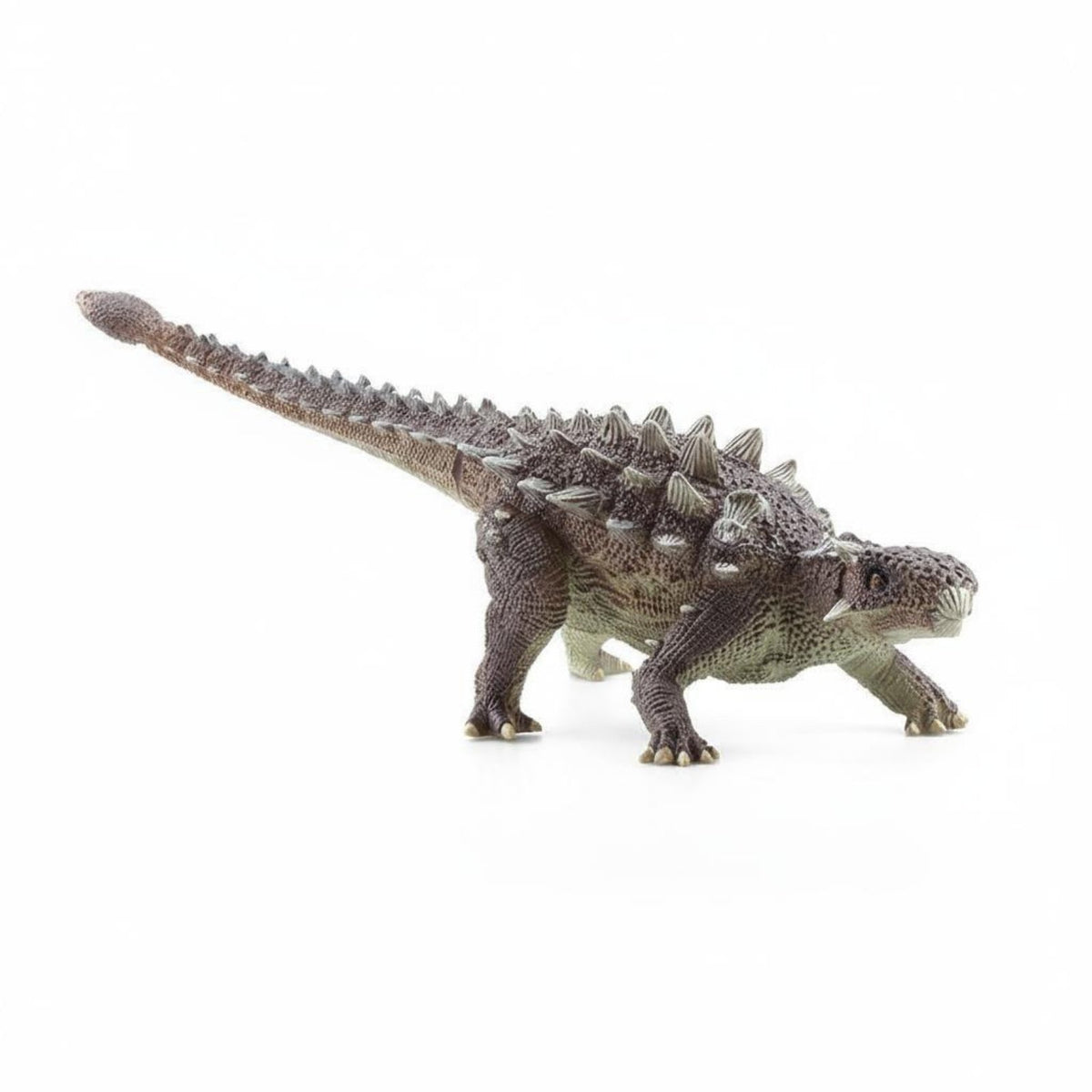 Ankylosaurus Toy Collectible Ankylosaurus Figure Educational Armored Dinosaur Figure for School Project