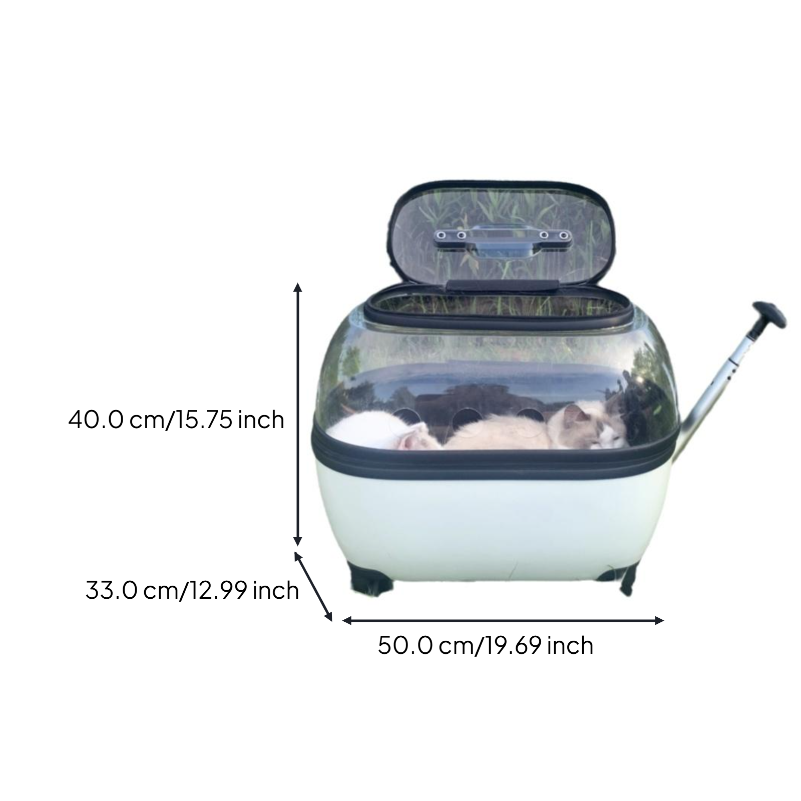 Expandable foldable pet carrier