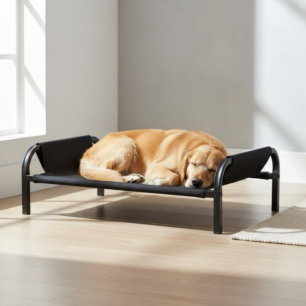 Raised Feline Bed Breathable Material Raised Pet Bed Scratch-Resistant
