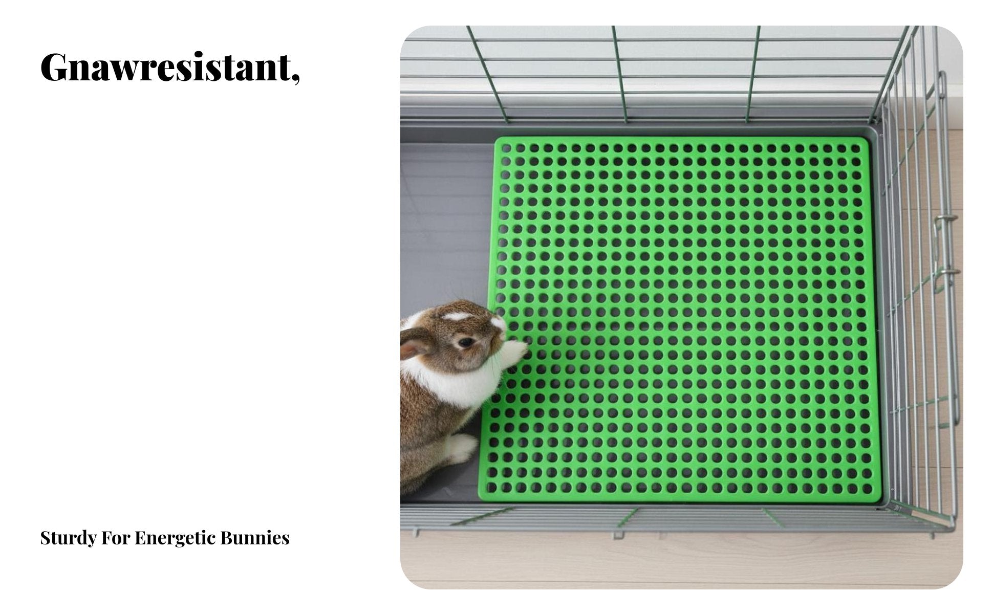 Perforated enclosure Floor Mat chew-resistant Pet Foot protective pad Easy to Clean for small animal Owners