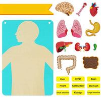 22 Pieces Organ Placement Busy Board DIY Learning Textile Biological Structure