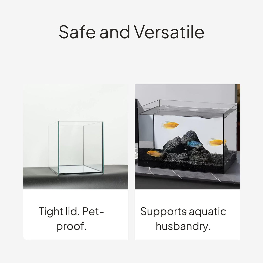 Glass Desktop Aquarium, Rectangular Black Silicone, Lid