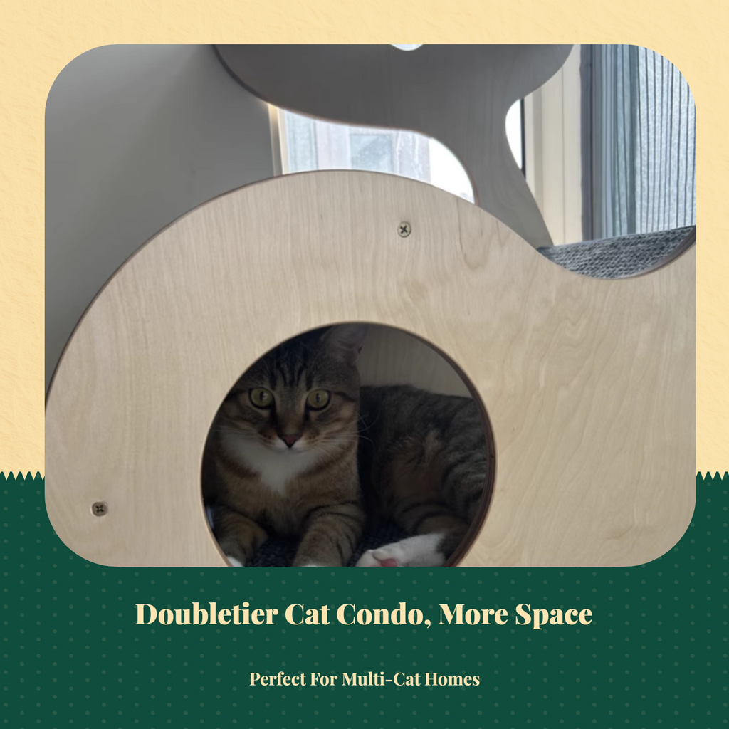 2-story wood cat house, indoor/outdoor