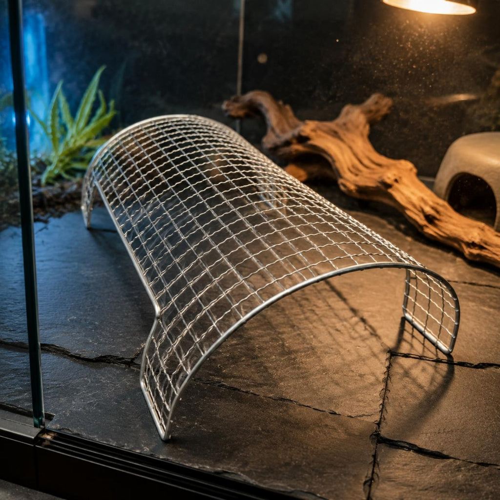 Bearded Dragon Basking Stand Long-Lasting Creature Climbing Platform Easy To