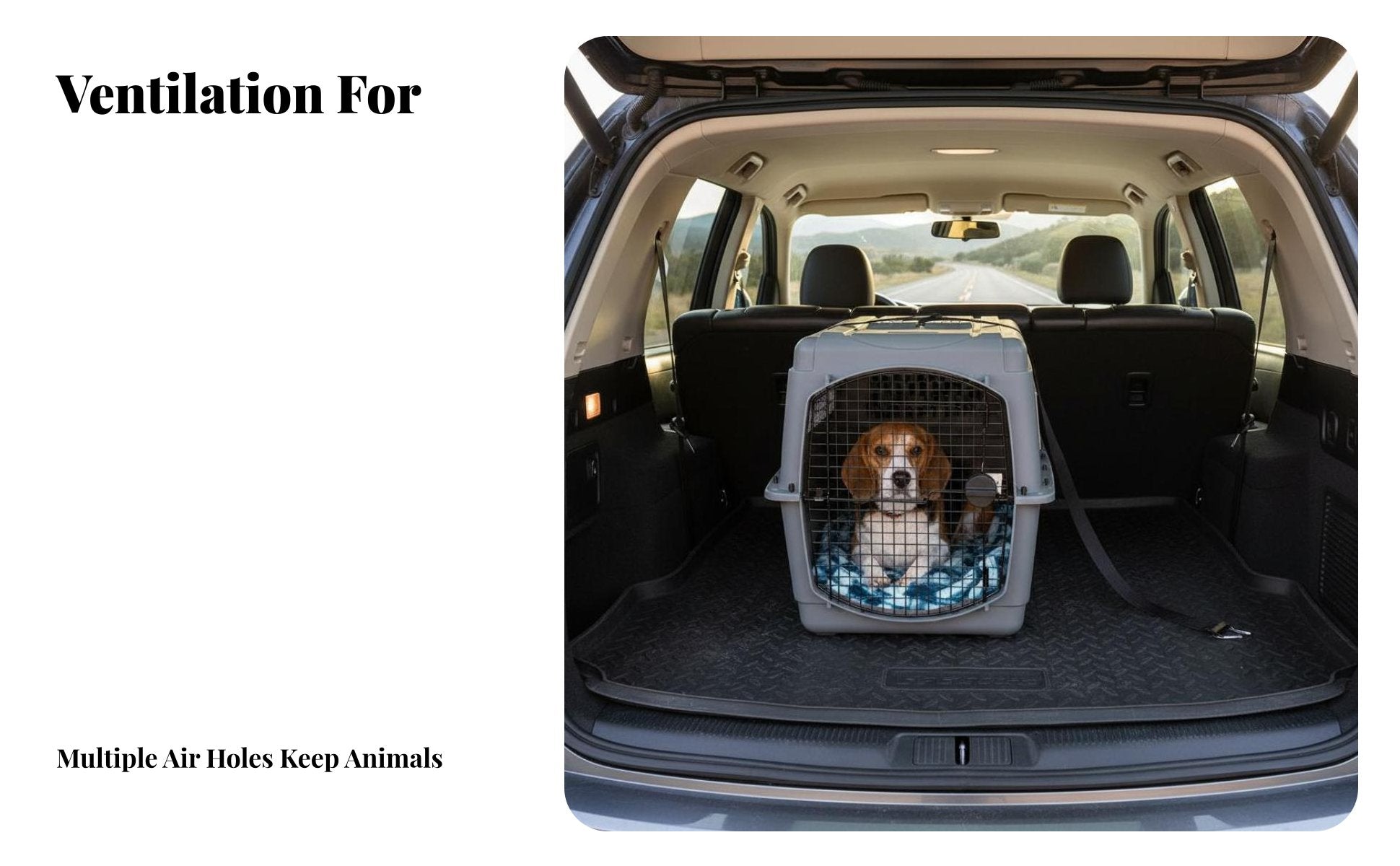 Airline-Approved Design Hard-Sided Travel Crate Portable Hard-Sided Pet transport robustDuty Construction Dog Kennel safety latch for Travelers with companion animals, Cat Owners, Car journeys, veterinarian Visits, Outdoor Excursions