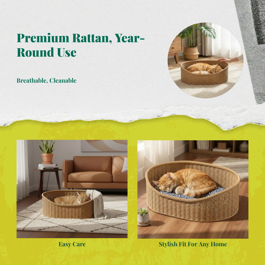 Woven cat bed with removable cushion