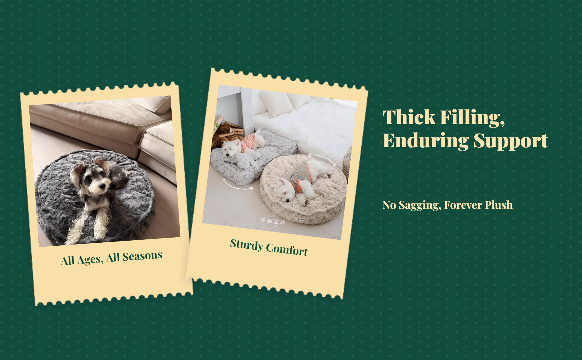 Ultra-Soft Plush Dog Bed Calming, Non-Slip, Easy to Clean